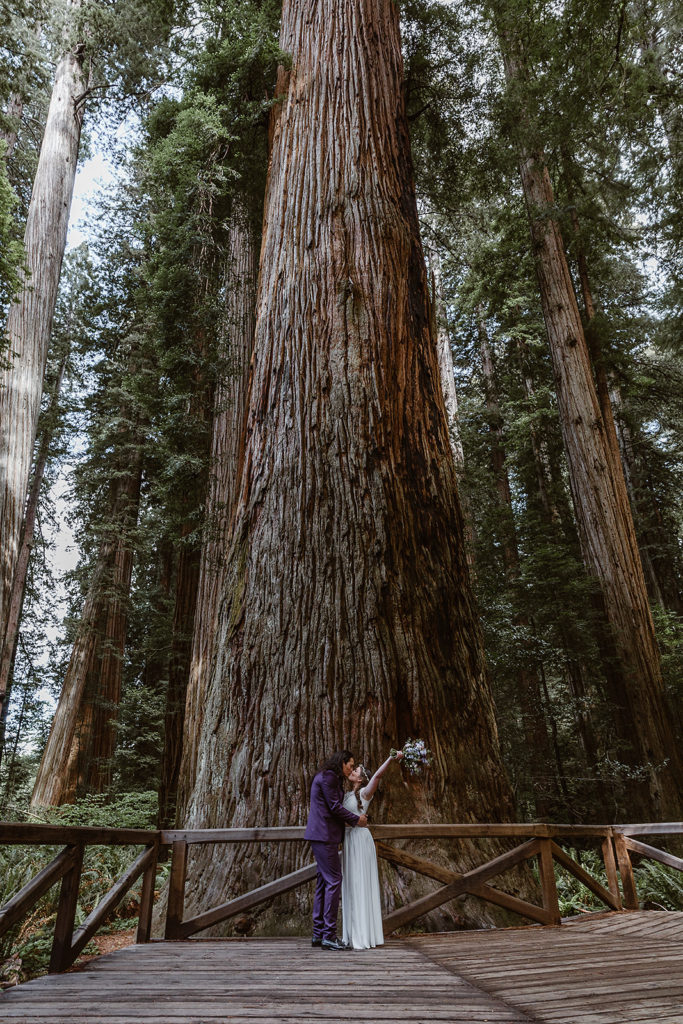 A couple kisses in the Redwoods during their Samuel H Boardman State Park Elopement