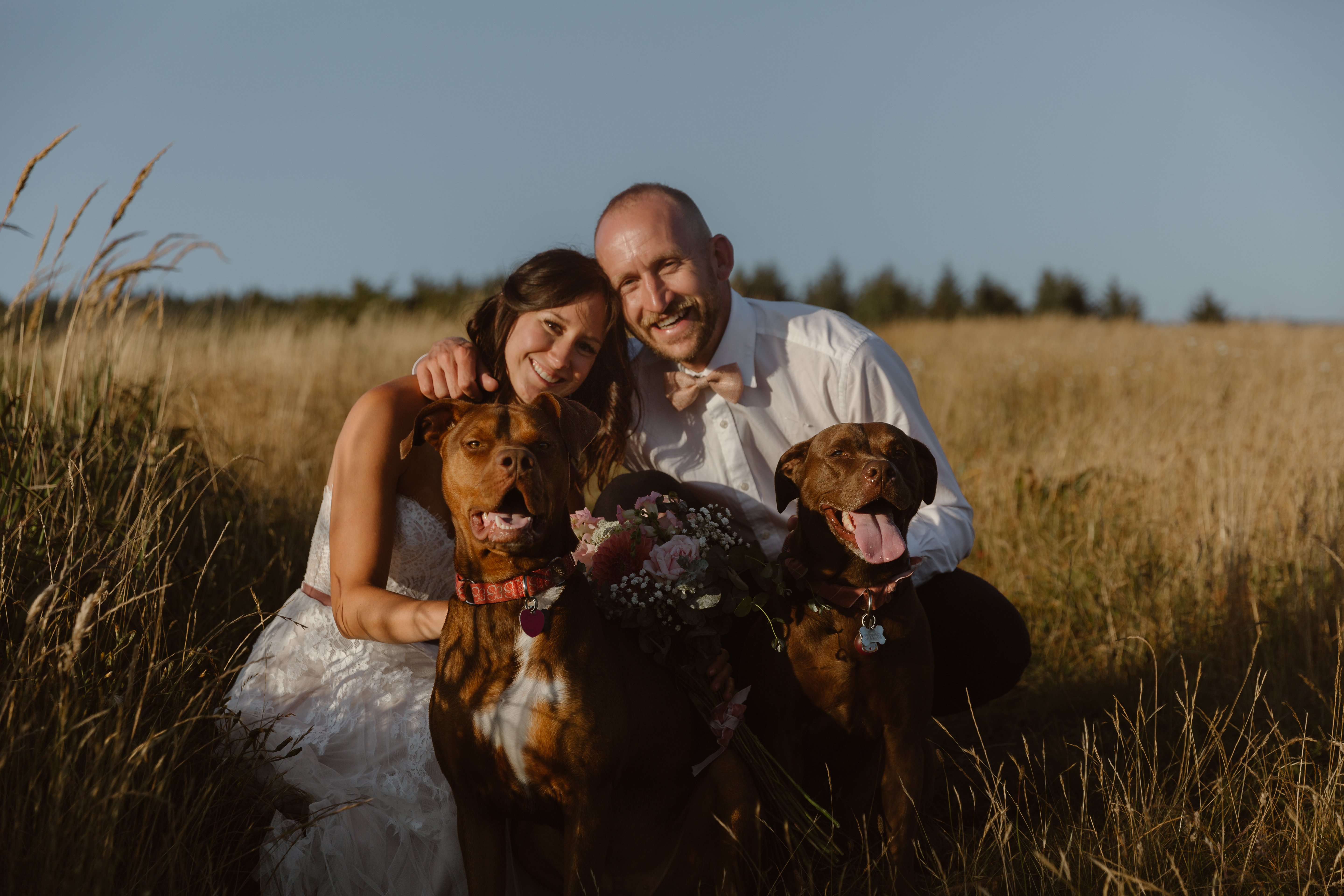eloping couple sits with their two dogs in a field