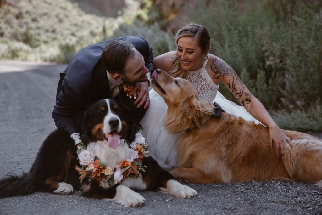 Leslie Gulch Elopement with Dogs Eastern Orgeon Bride and Groom with their dogs kissing the groom