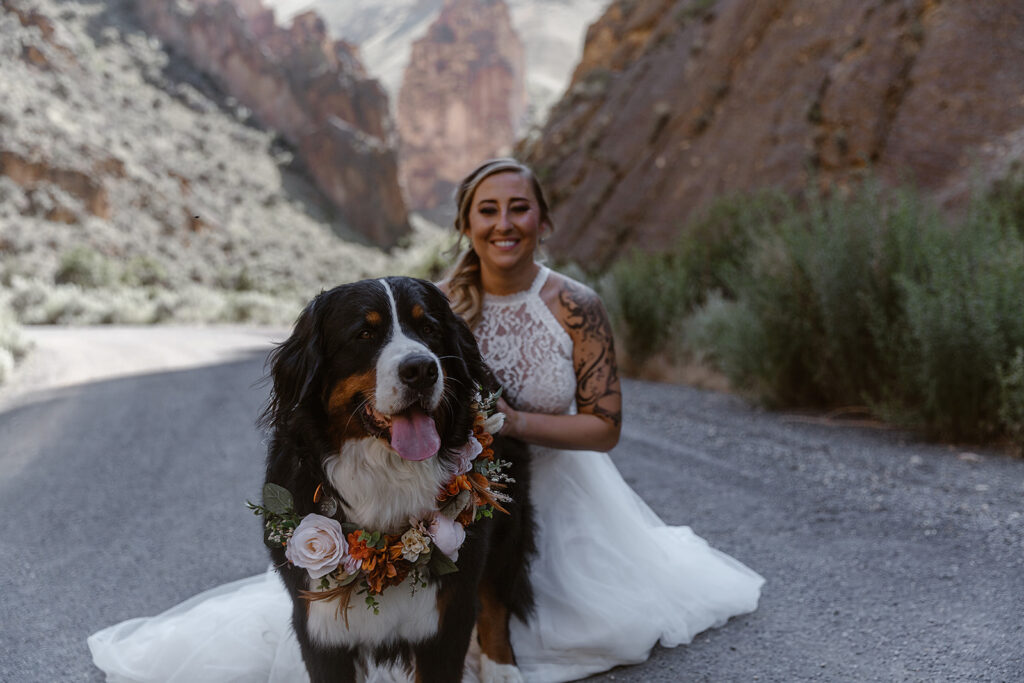 Bride smiling behind a Bernese mountain dog wearing a white and orange floral collar in Leslie Gulch.