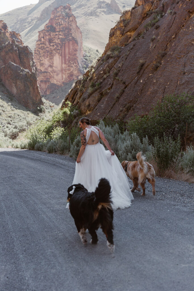 Bride walking away with two dogs, her wedding dress trailing along a gravel road beneath Leslie Gulch’s cliffs.