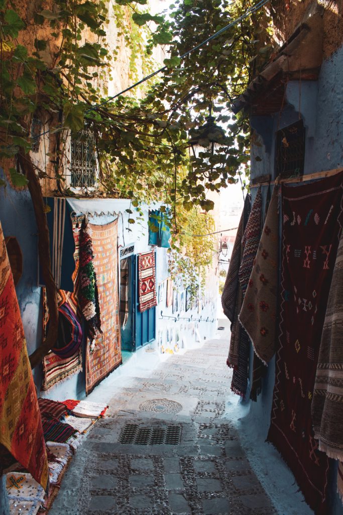 An alleyway with hanging vines in Morocco