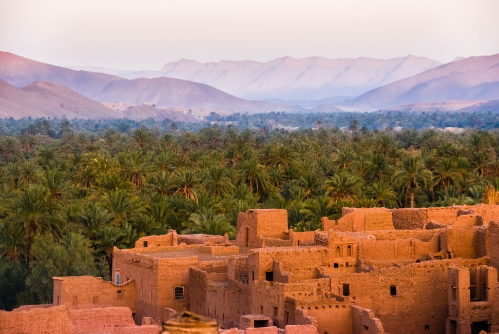 Brown homes made out of sand stand clustered together on a hill, overlooking a forest and mountains in the background at sunset in Morocco