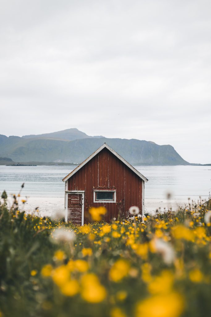 A small wooden house in the middle of a flowering field overlooks an ocean with mountains in the background in Norway