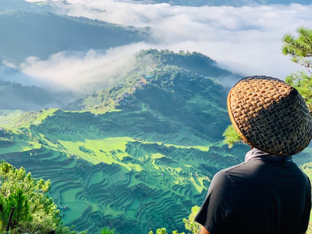 A man wearing a straw hat looks over rice fields in the Philippines