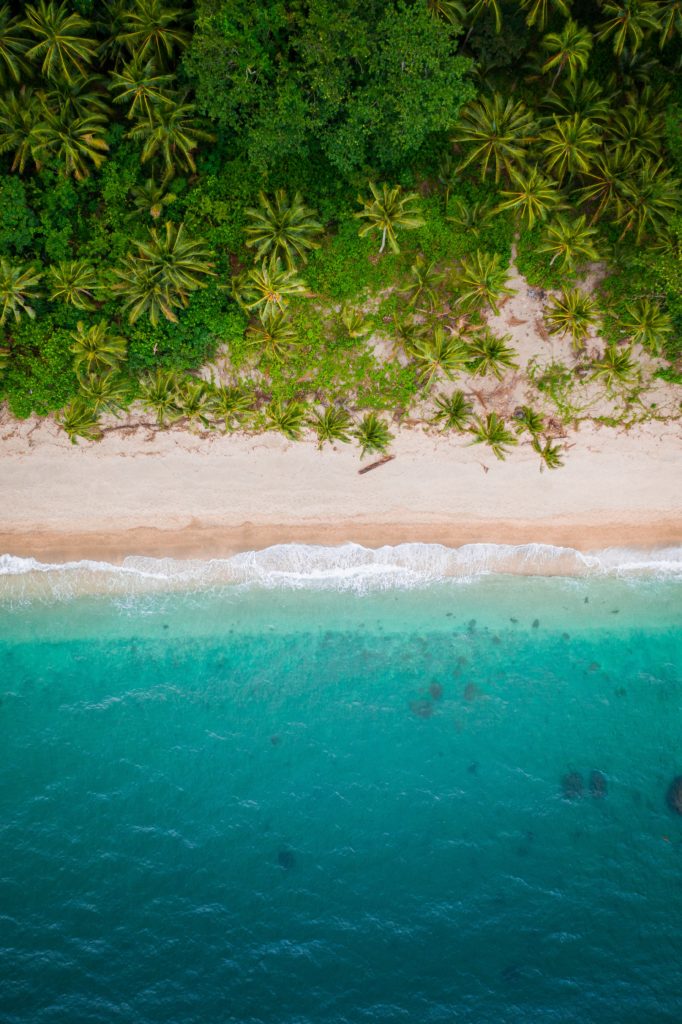 An aerial view of waves crashing on a shore with green trees and palm trees in the Philippines