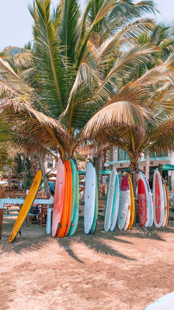 Colorful surf boards are perched against palm trees on the beach