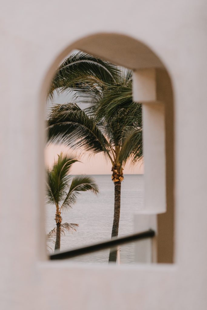A palm tree and ocean view, as seen during a Puerto Vallarta elopement