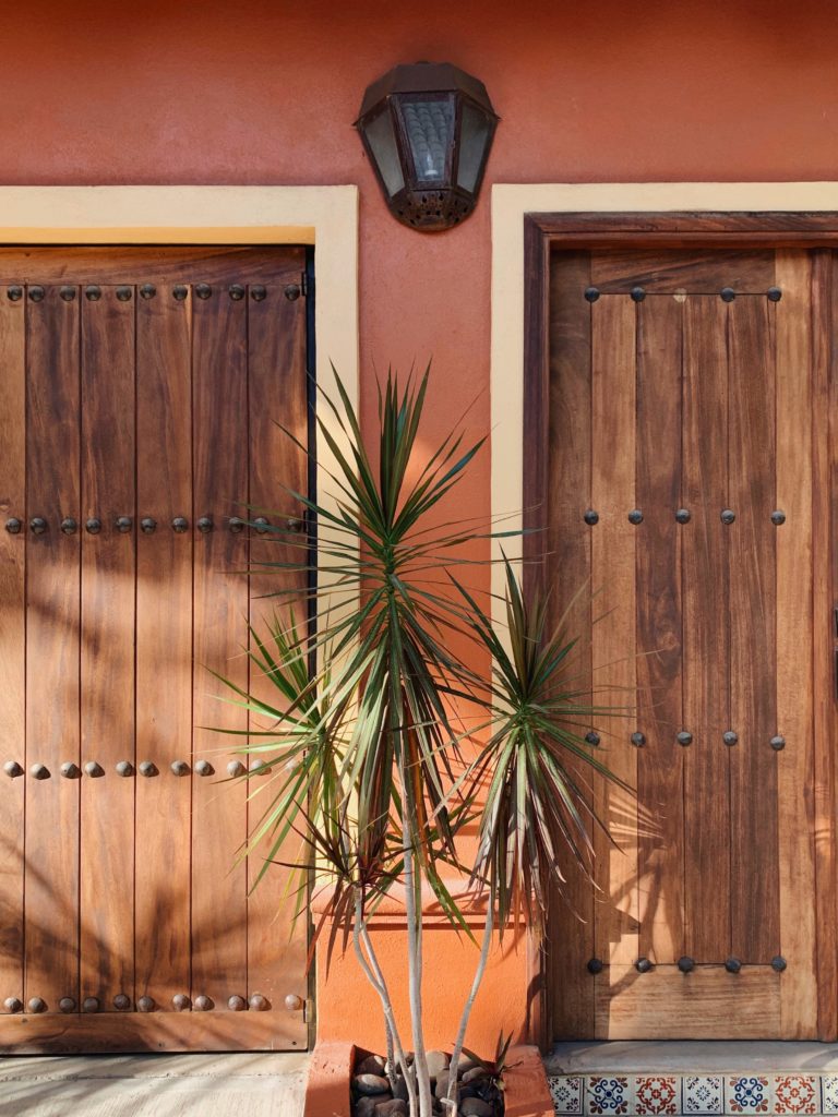 A palm tree in front of two wooden doors, as seen during a Sayulita elopement